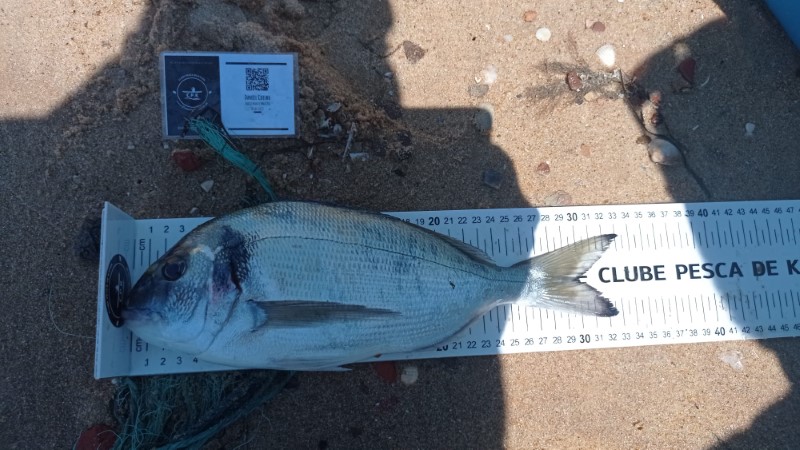 Fish Measure Picture